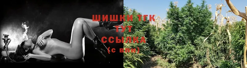 наркота  Заволжье  Шишки марихуана SATIVA & INDICA 